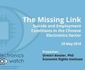 The Link Between Employment Conditions and Suicide, November 2018